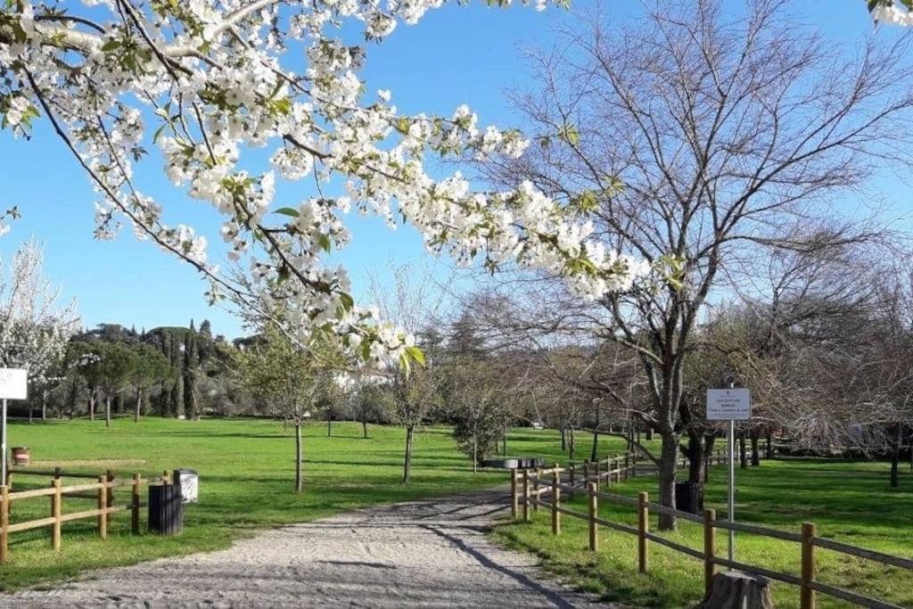 Le Cure Daire Floransa Dış mekan fotoğraf